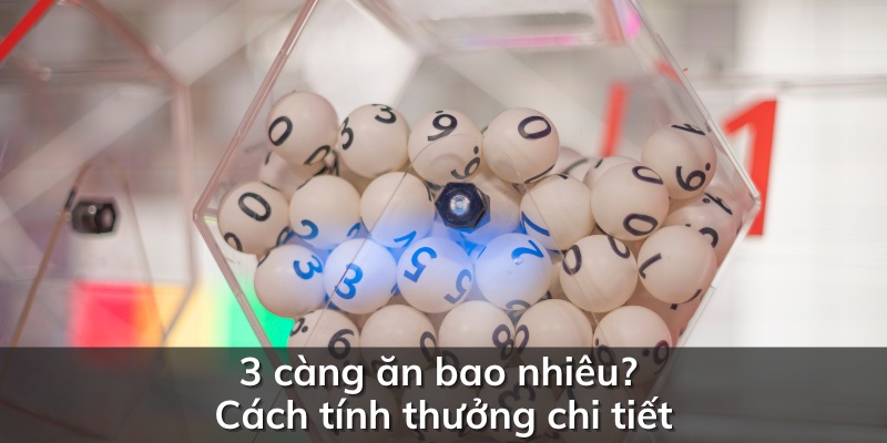 Tính tiền 3 càng ăn bao nhiêu 