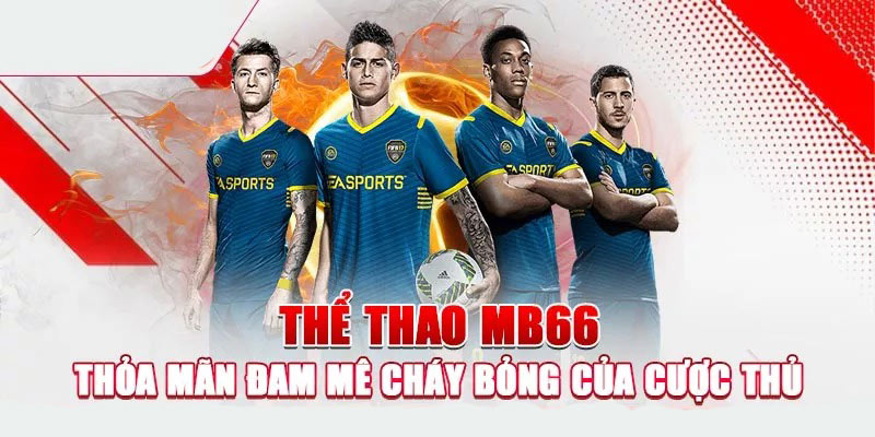 Thể thao MB66 sở hữu hàng loạt ưu thế để thu hút thành viên tham gia