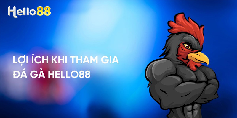 đá gà Hello88