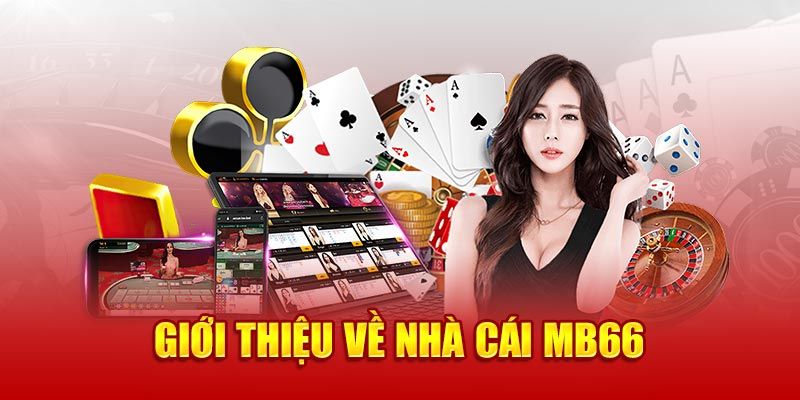 Giới thiệu thông tin về MB66 